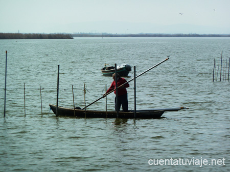 La Albufera, El Palmar